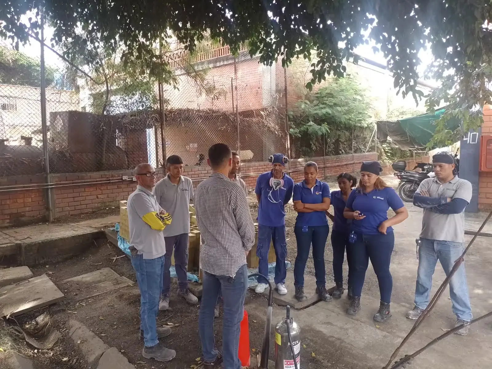 Desratización Image Process